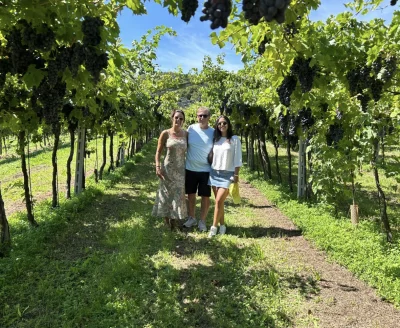 Vigneto fantastico, adatto alle famiglie